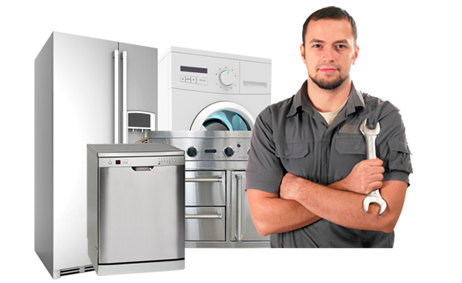 Servicio electrolux